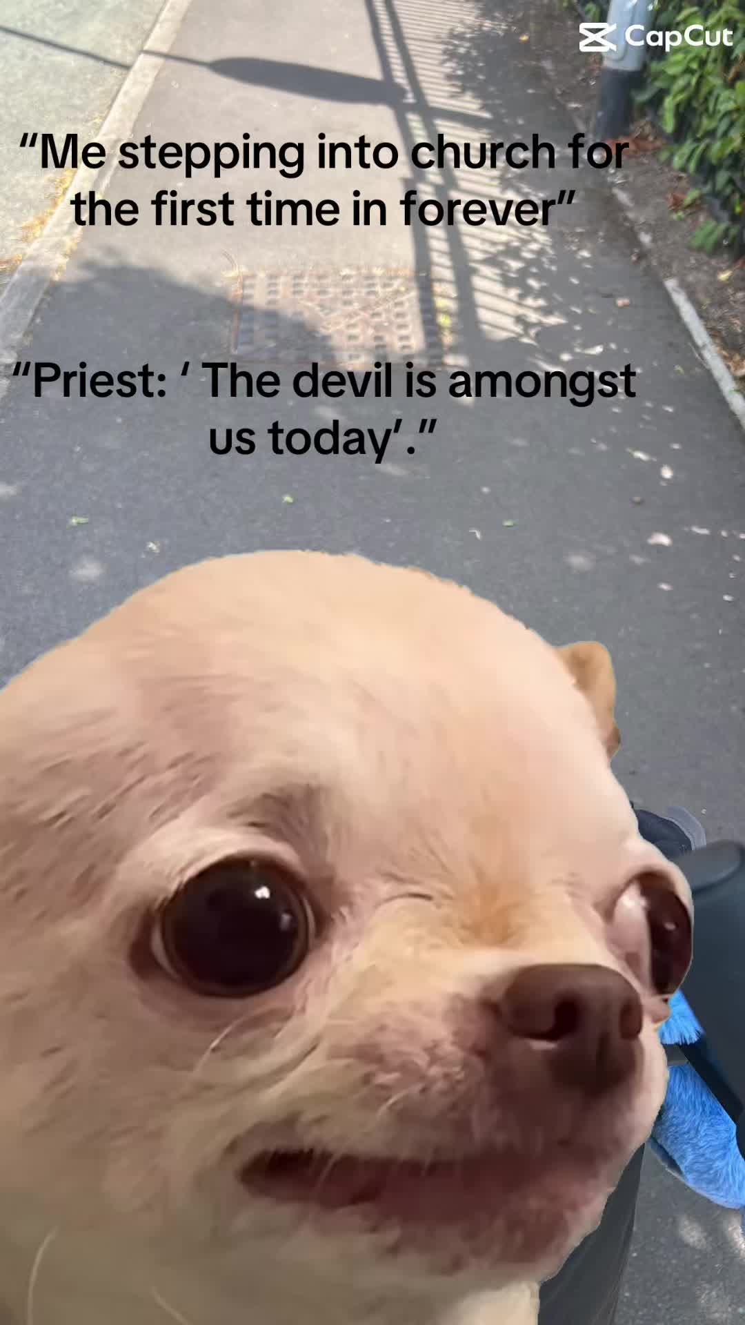 @sammybear