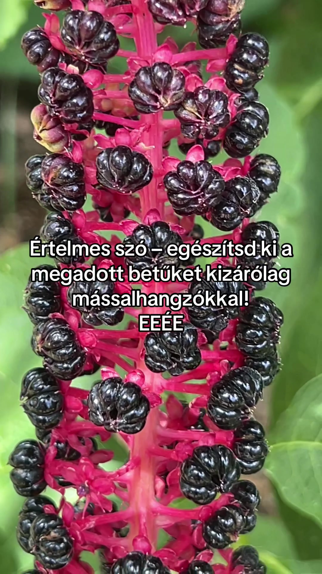 @Bizso, játssz velem naponta