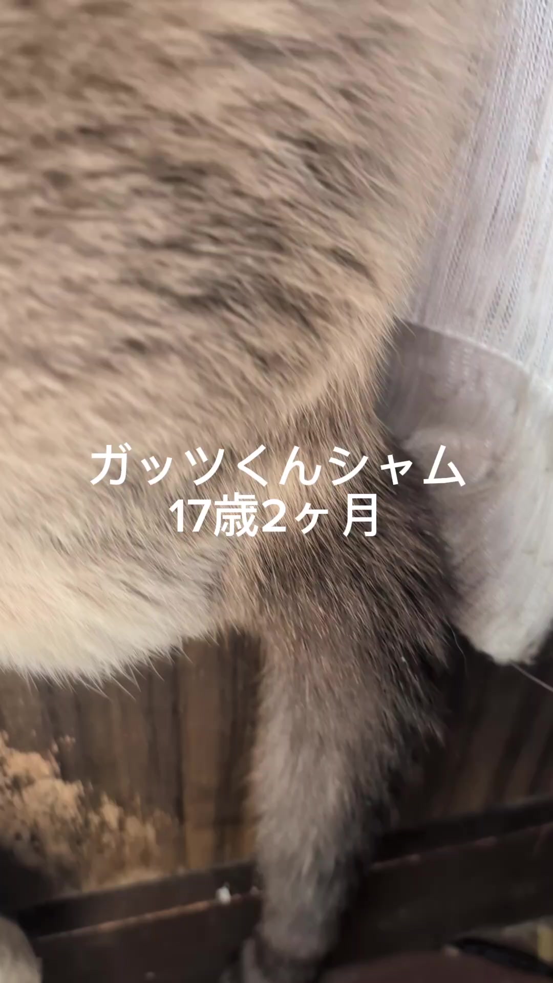 @睡眠プロデュース