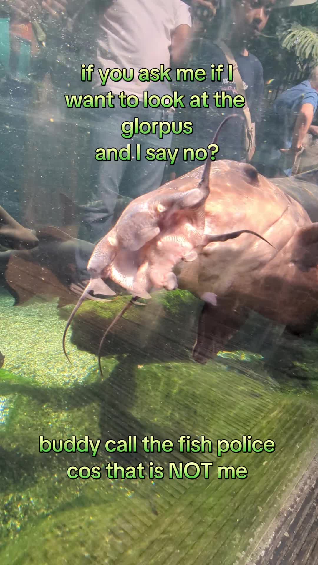 @BristolAquarium