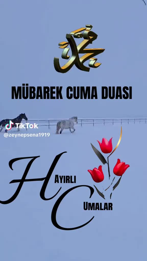 @hazineakcelep