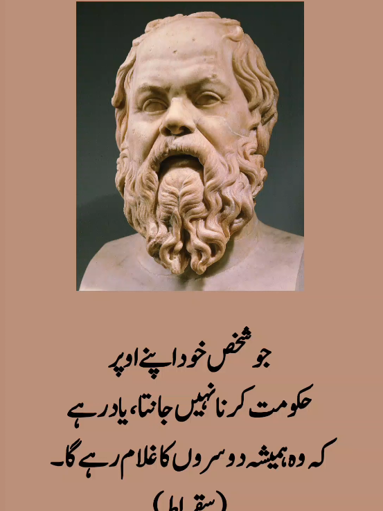 @The Wisdom
