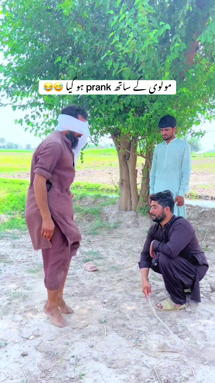 @پینڈو بوائز 378