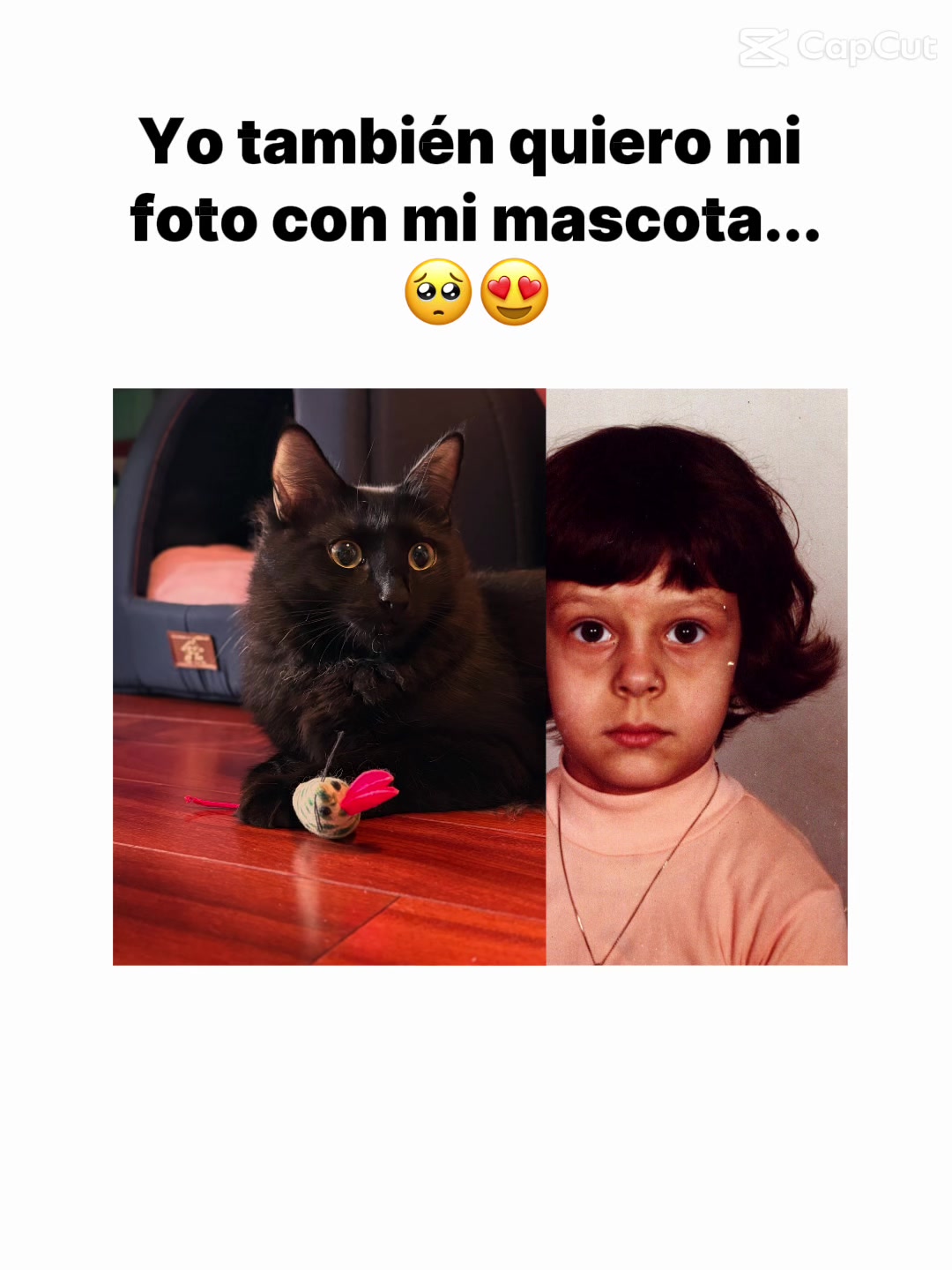 @Regiane Tosatti
