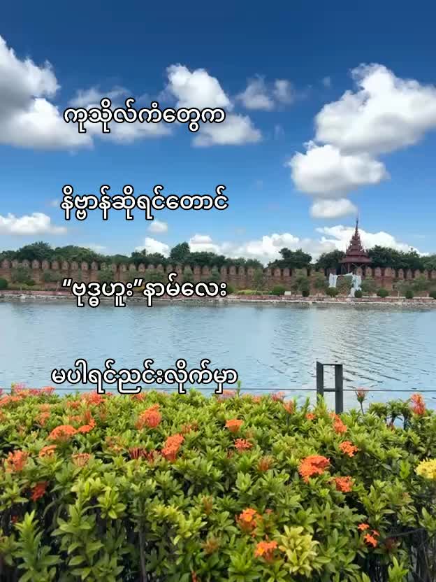 @တီကောင်🪱