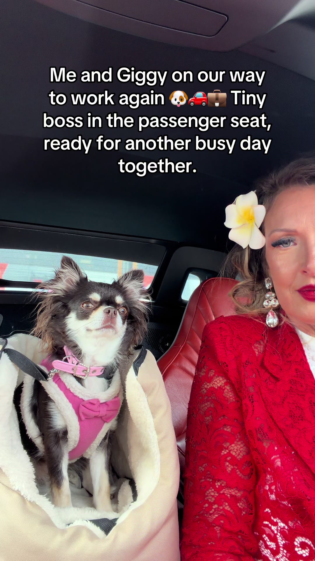 @ginfluencerestonia