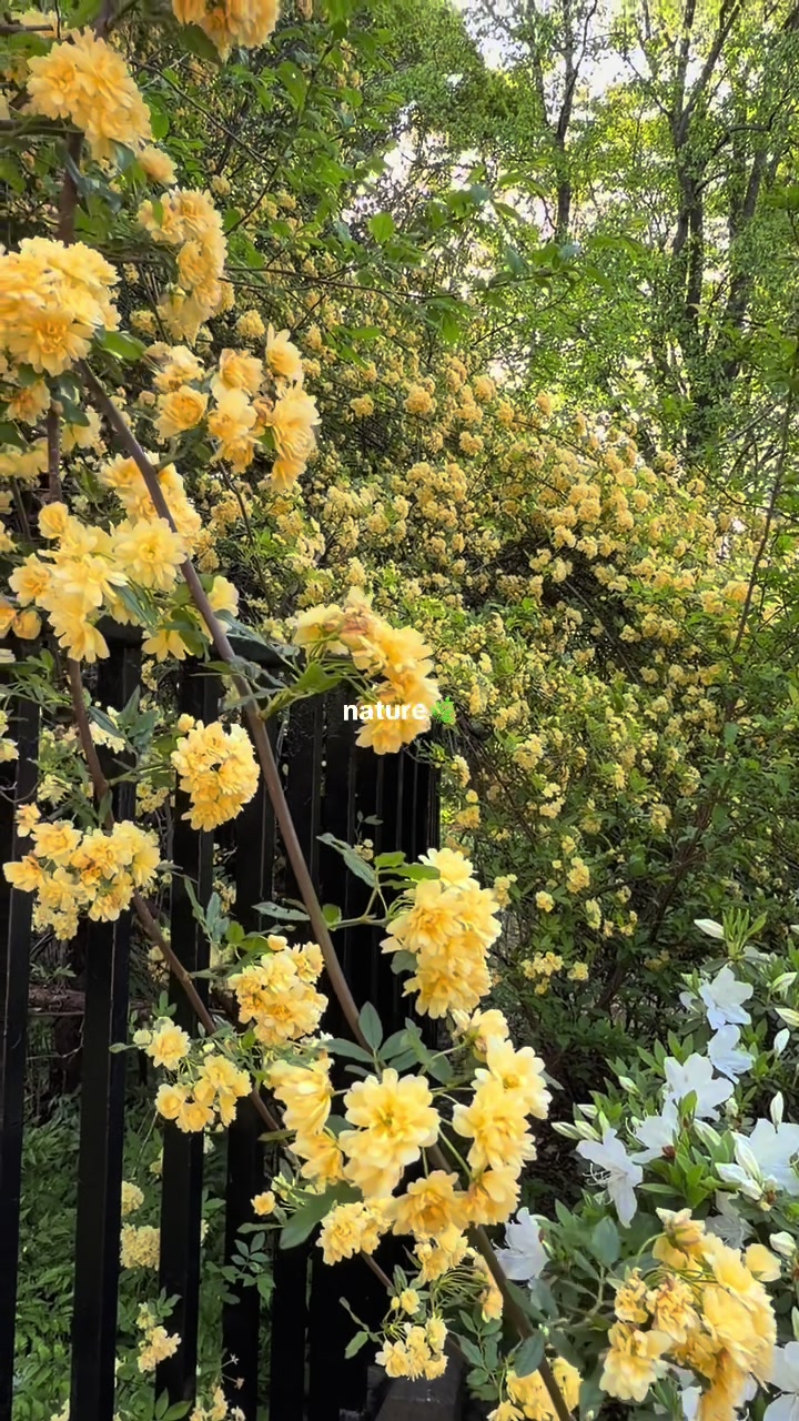 @Fern :)