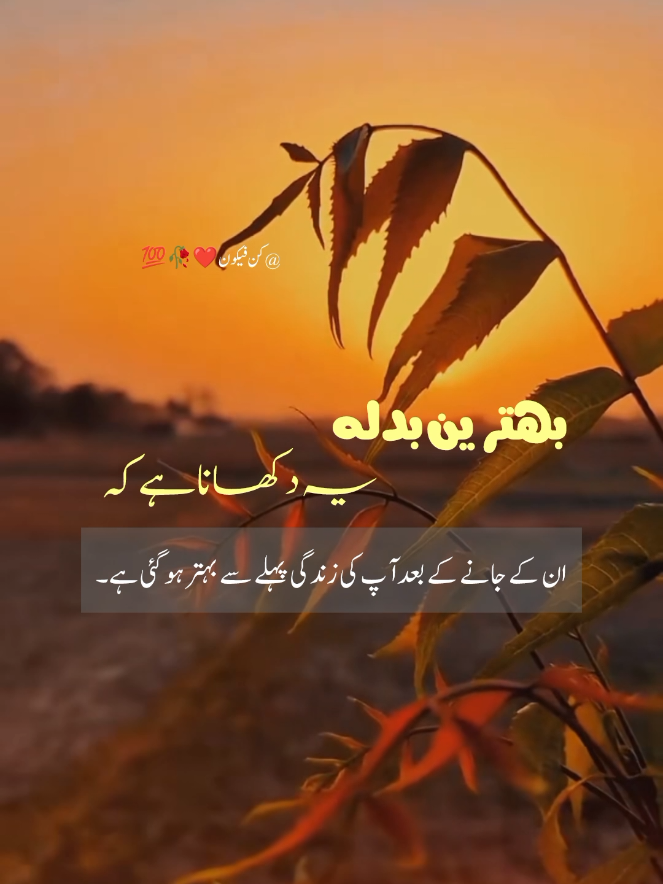 @کن فیکون ❤️