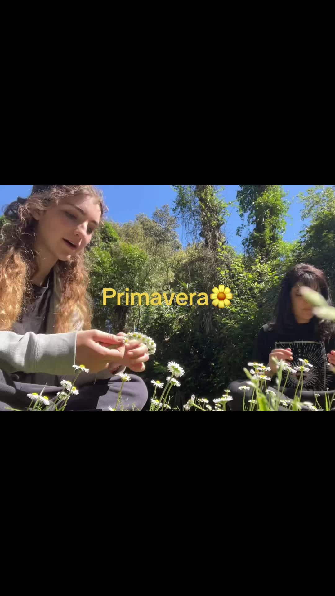 @Sbevaaaaaaaa