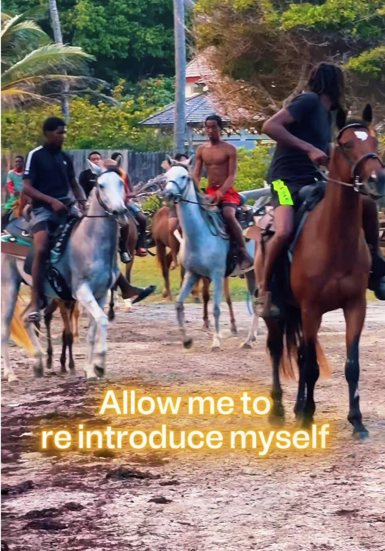 @roots_riding_stables