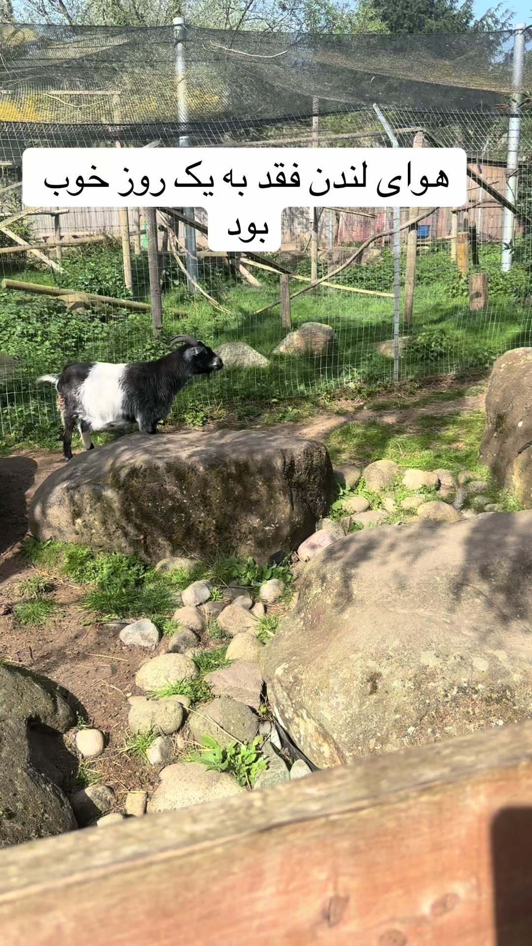 @Mo Mina