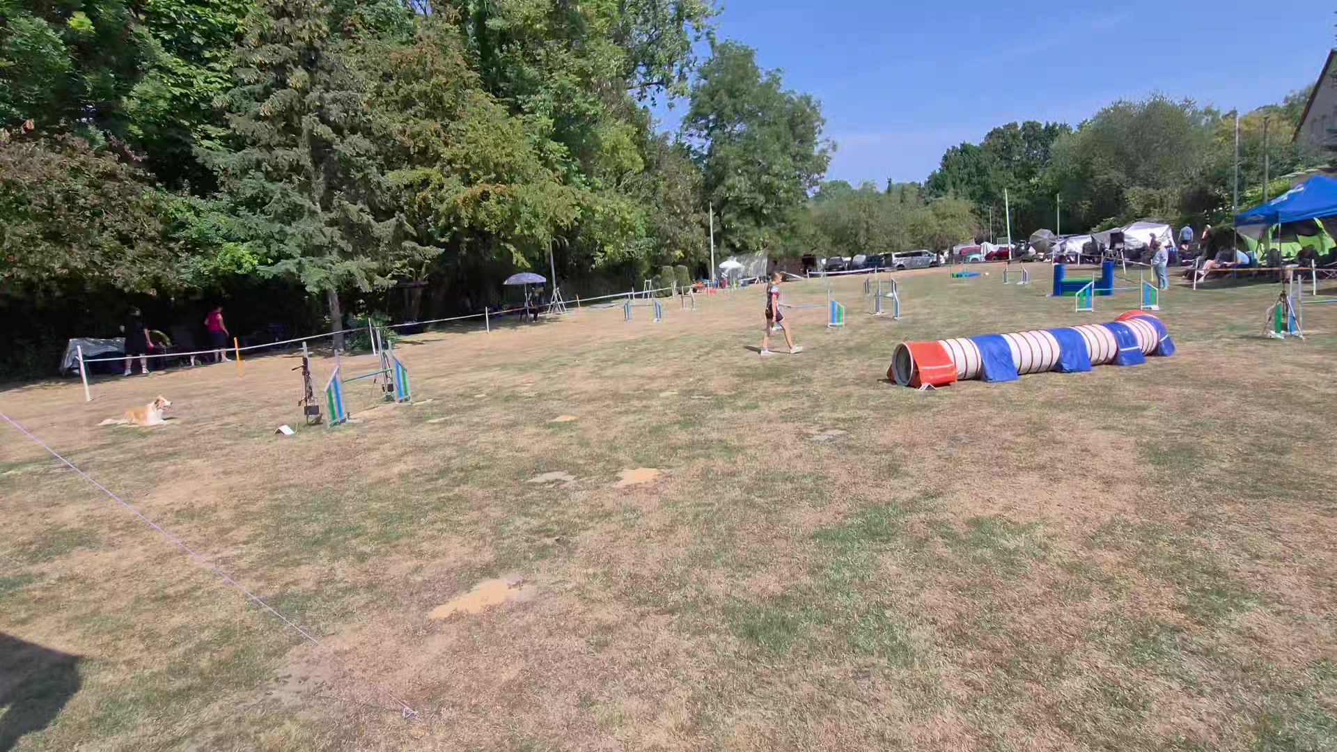 @dreamteam.agility