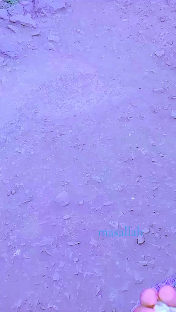 @user14093794027
