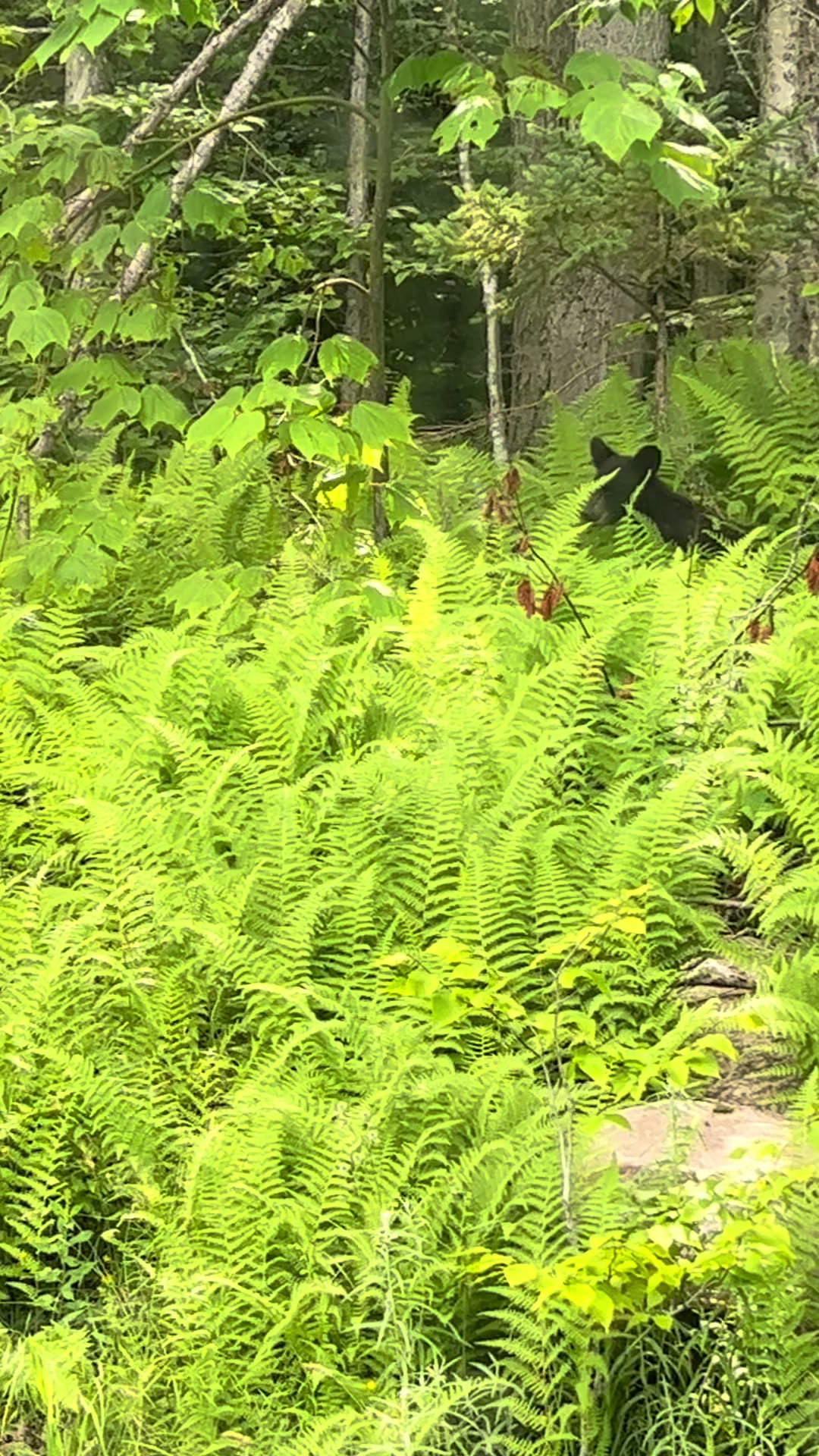 @Nature..Hiking..Photography