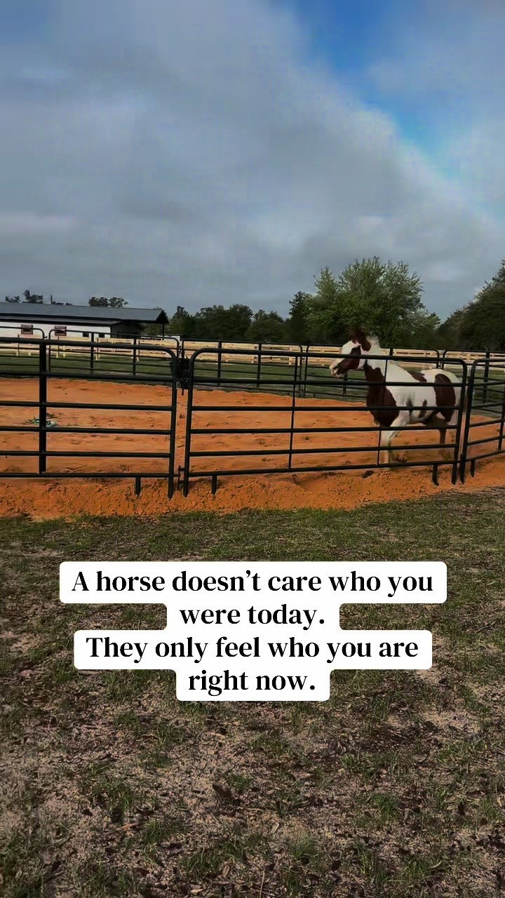 @WildernessRanch
