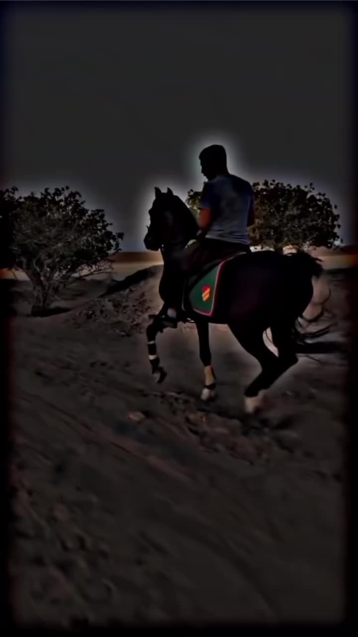 @⫸𝙈𝙞𝙍𝙯𝘼✫𝙎𝙖𝙍𝙆𝙖𝙍✫⫷