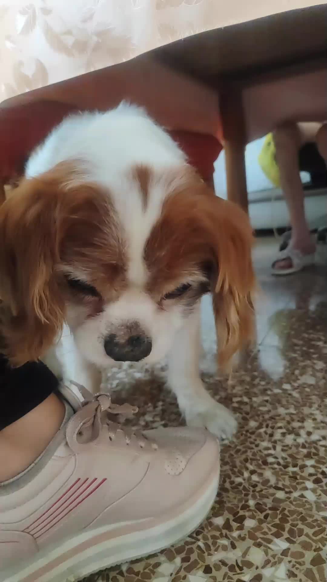 @๐
ข๐
ฐ๐
๐๐
๐
