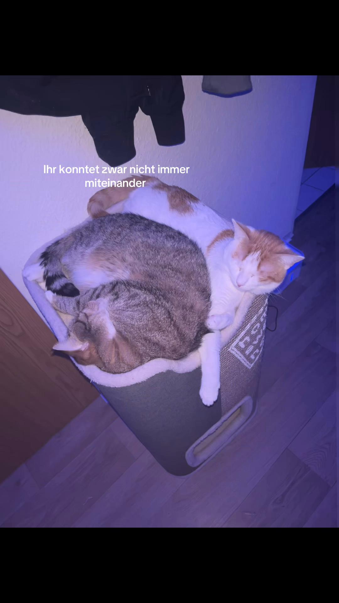 @🥀