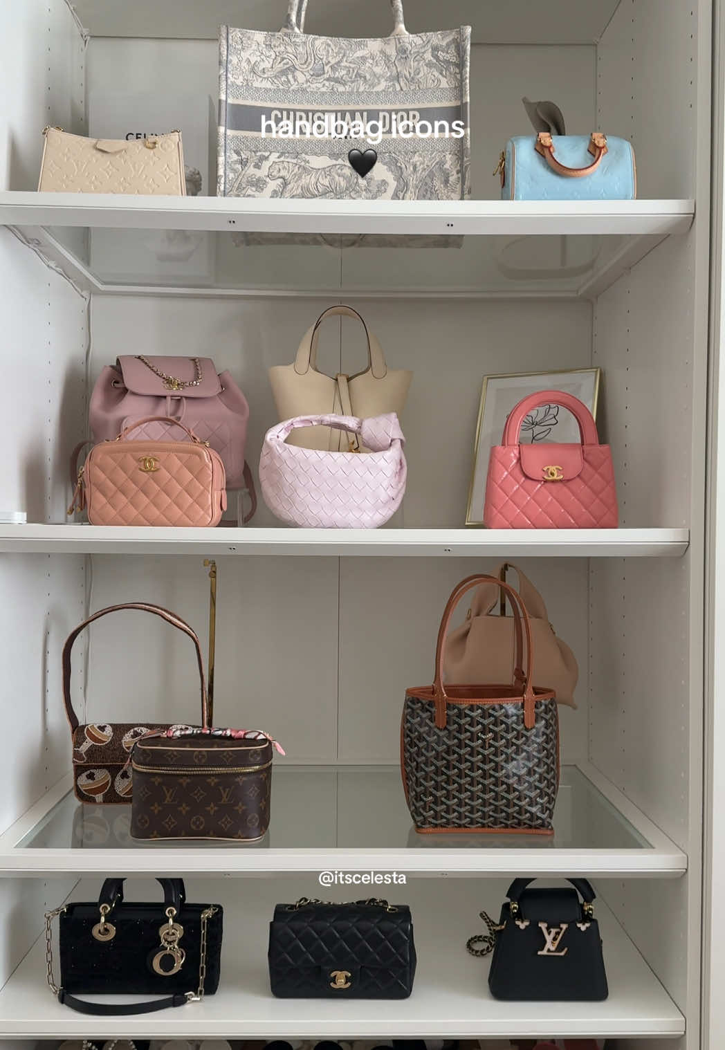 @itscelesta👜🩵