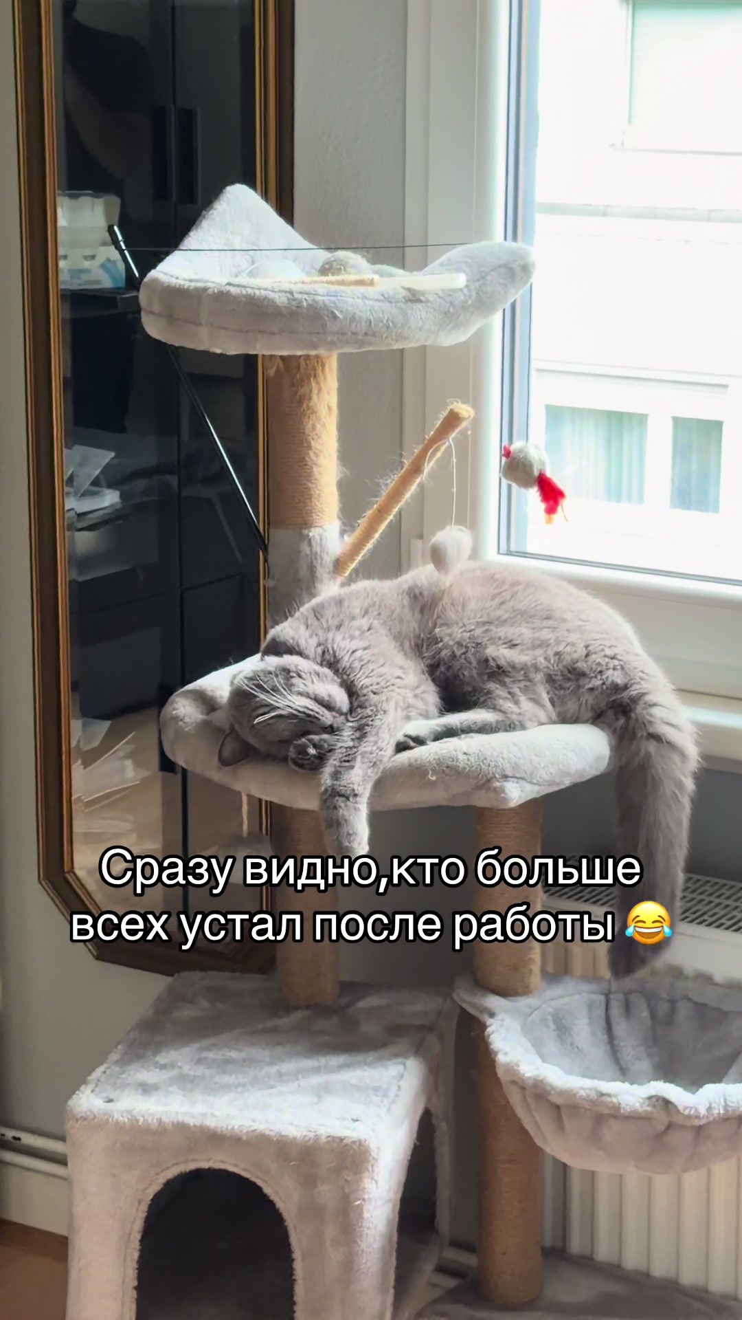 @Chișlea🇲🇩
