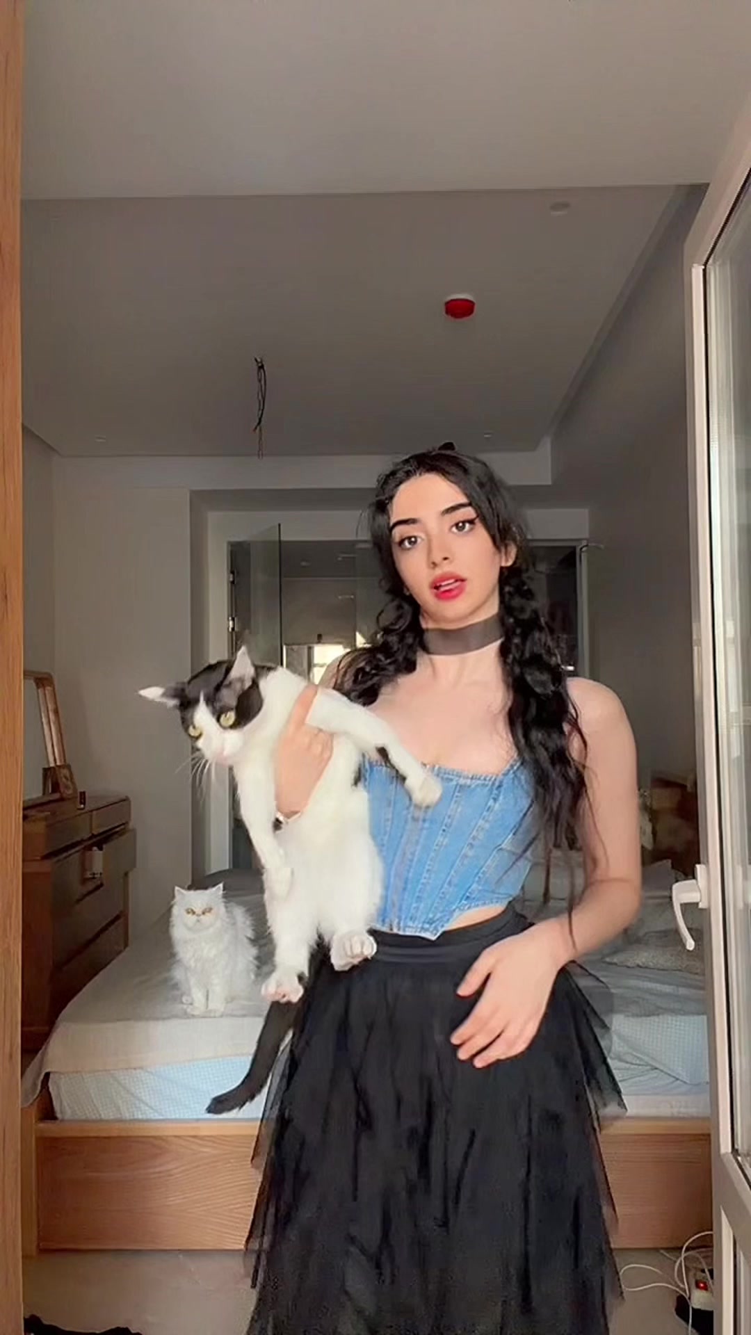@Andria Samizadeh