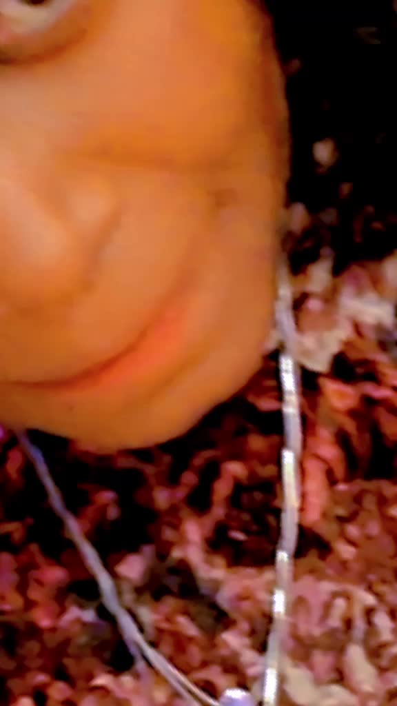 @bndye fid&egrave;l