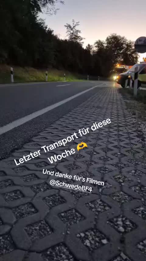 @BF3 Tweety