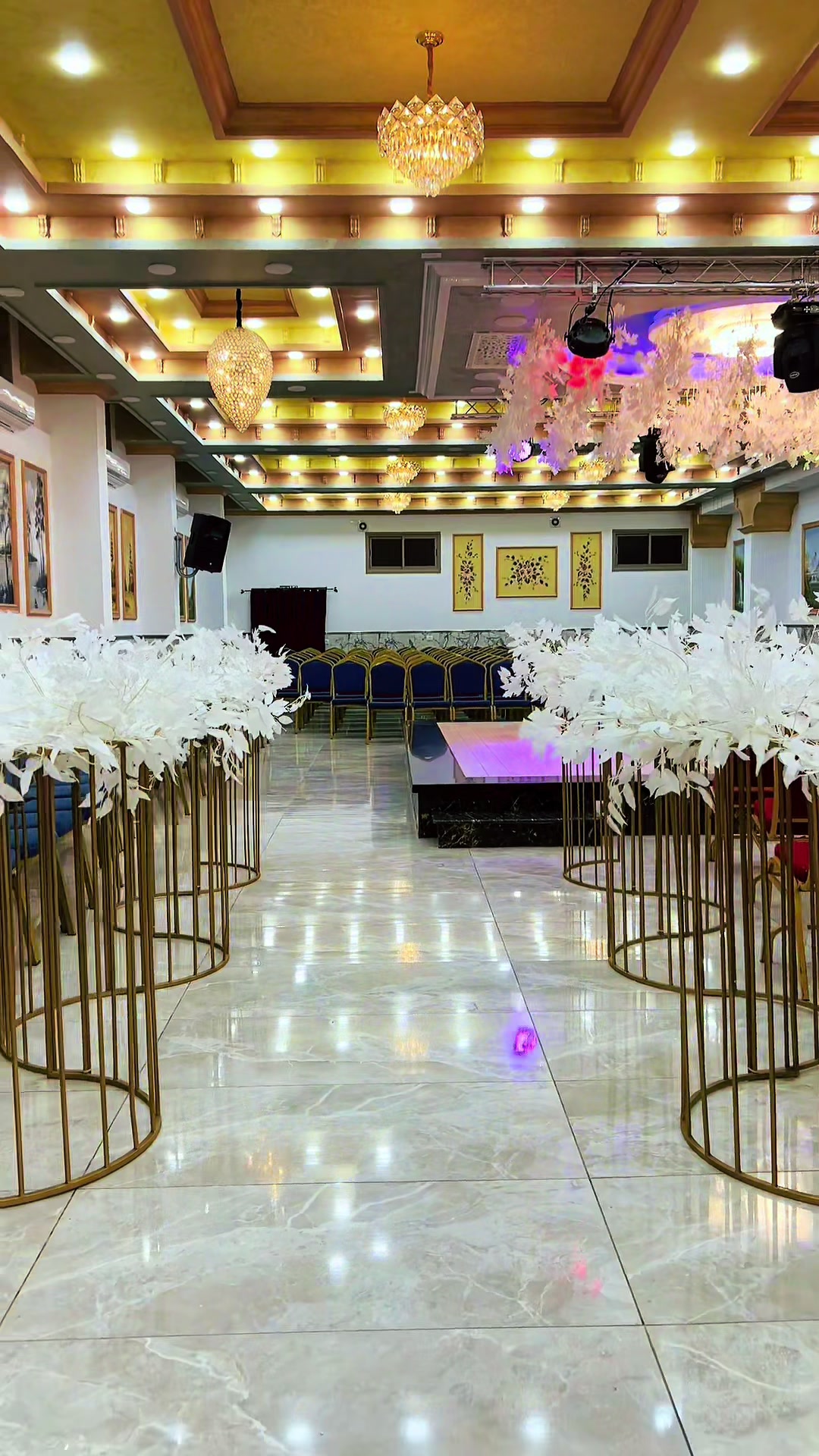 @wedding photographer