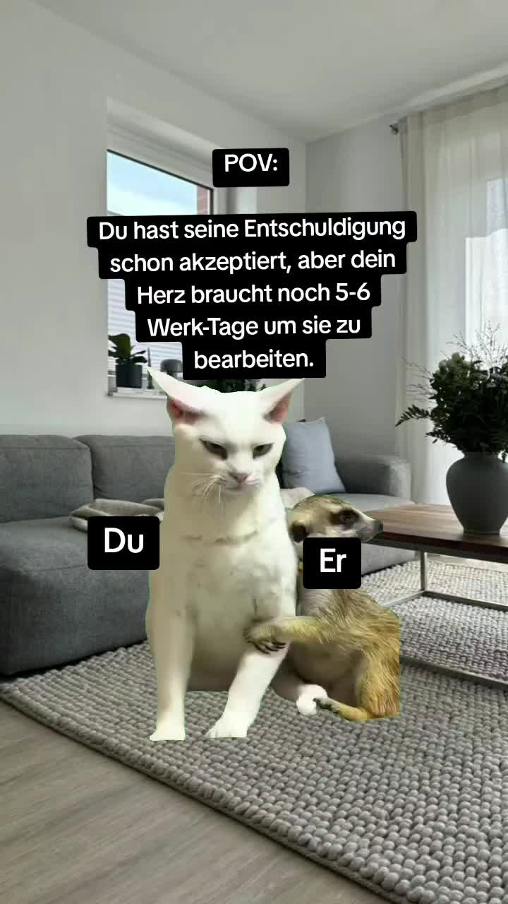 @🇩🇪🦬$.t.e.v.🦬🇩🇪
