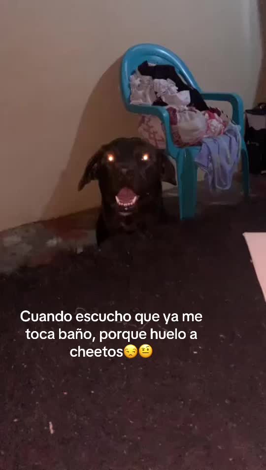 @Elmer