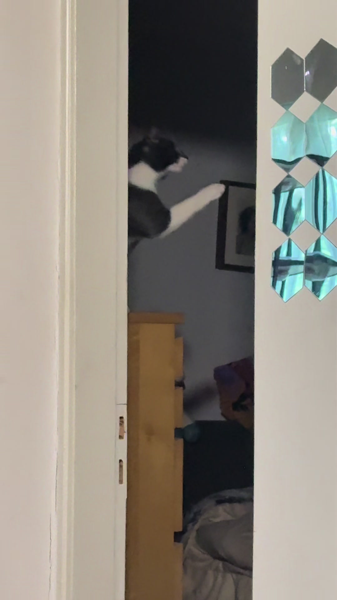 @ꜱɴᴏᴡʙʟᴜᴇ