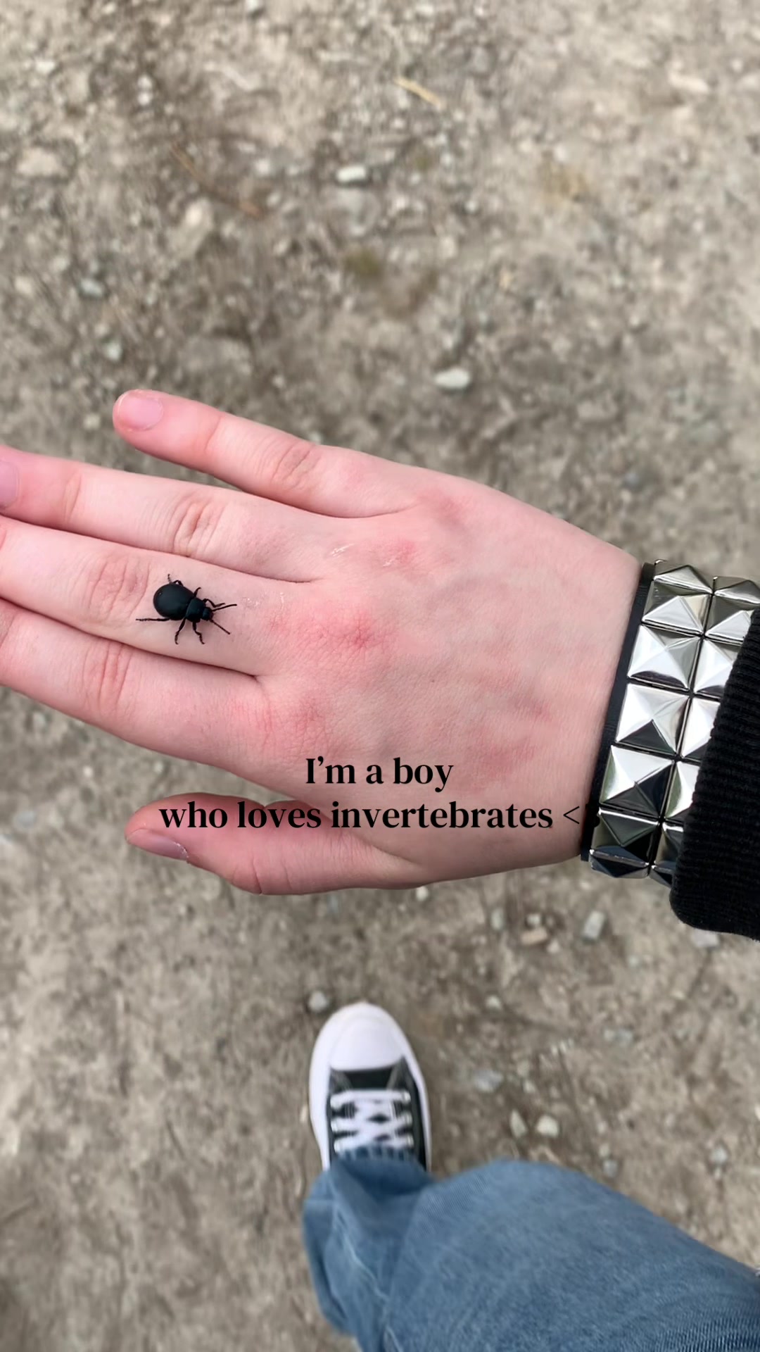 @🕷️Eliah—🐌