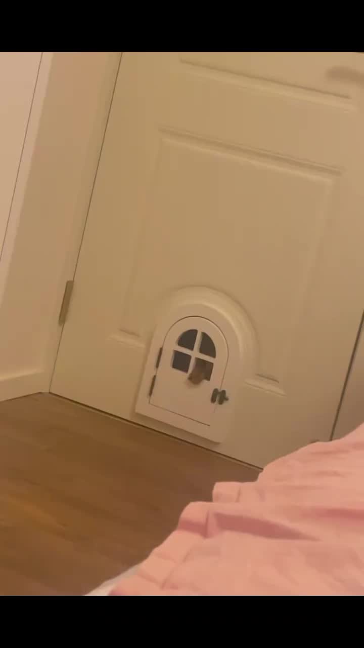 @Liloo🔮