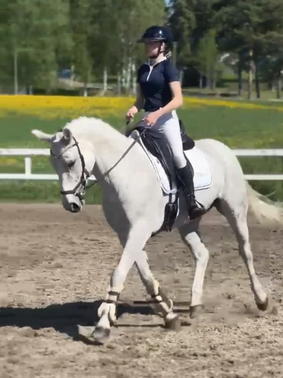 @✨️Veera Kettunen ja Ievina✨️