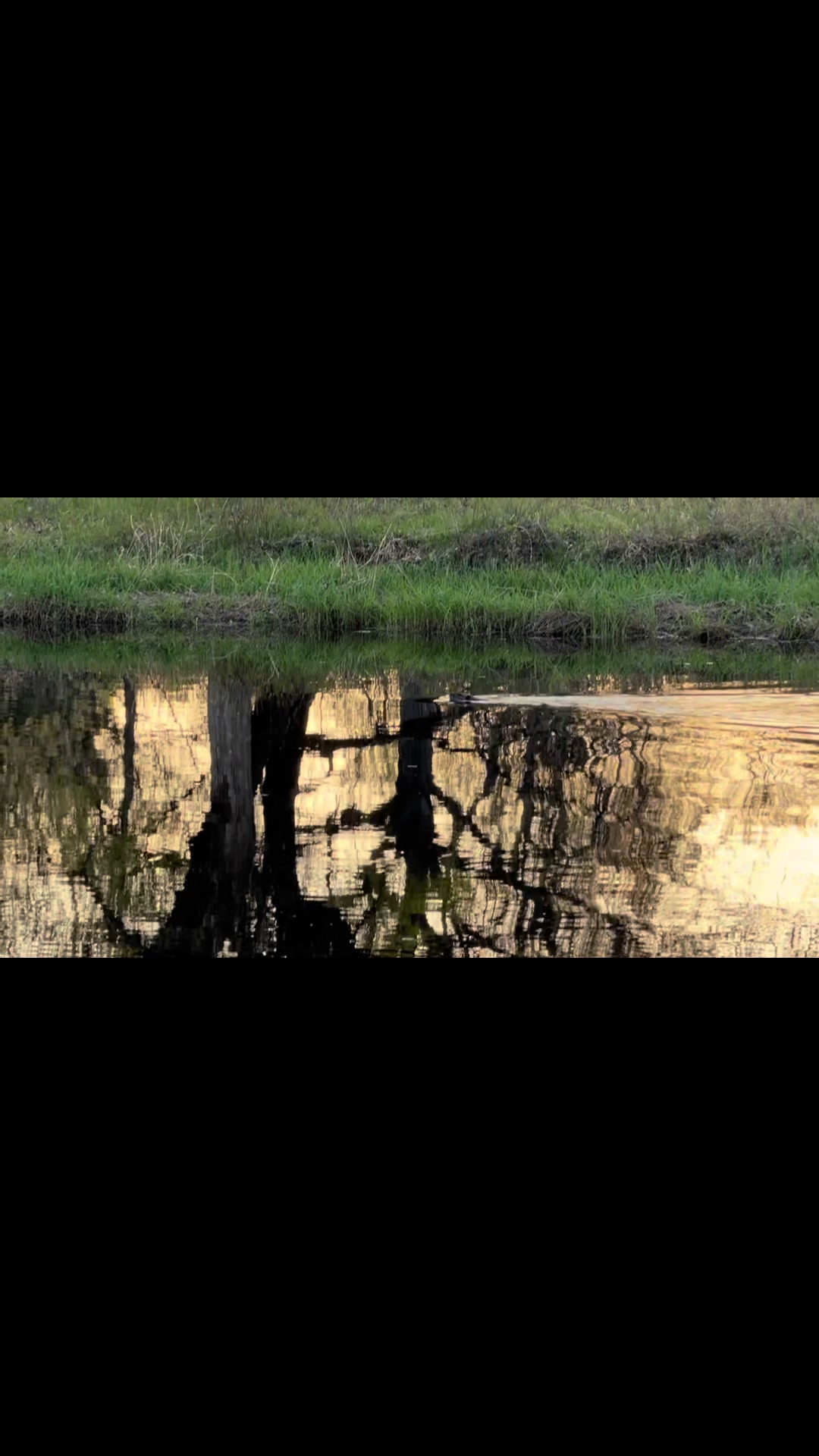 @❌Sherry &ldquo;Wildlife Paparazzi&rdquo;❌