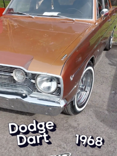 @CarVideosChileOficial
