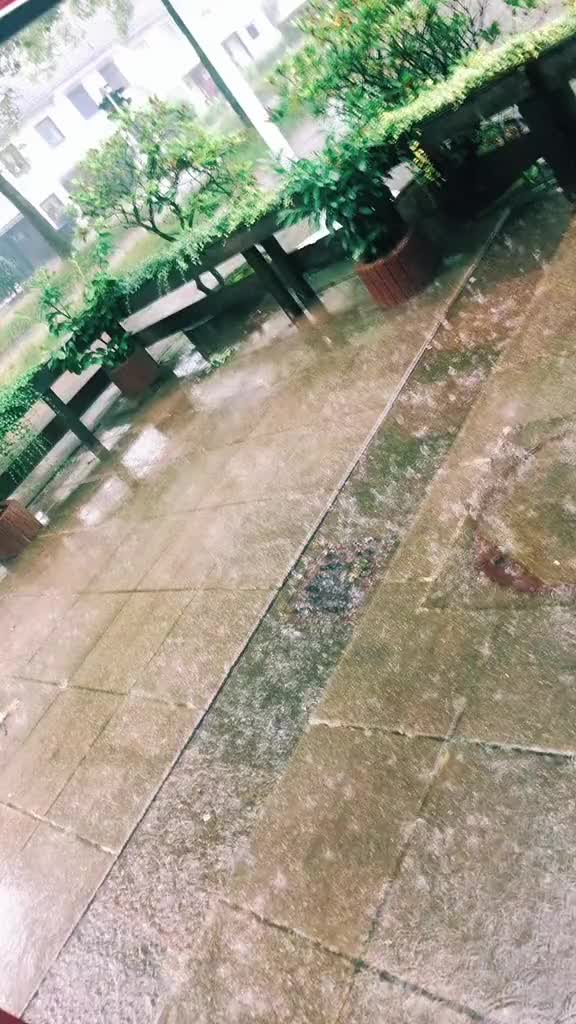 @شيف علي AliFrhad