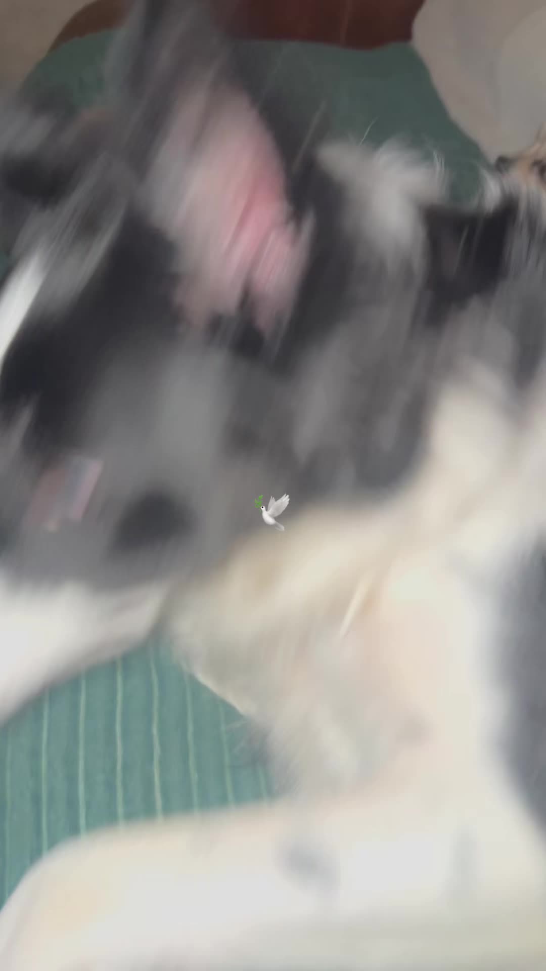 @Bee