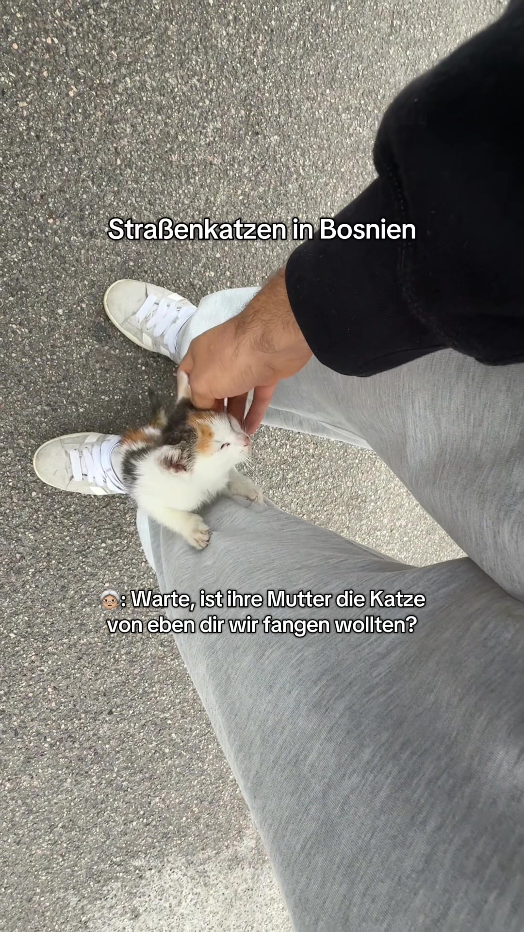 @natürlich patrik