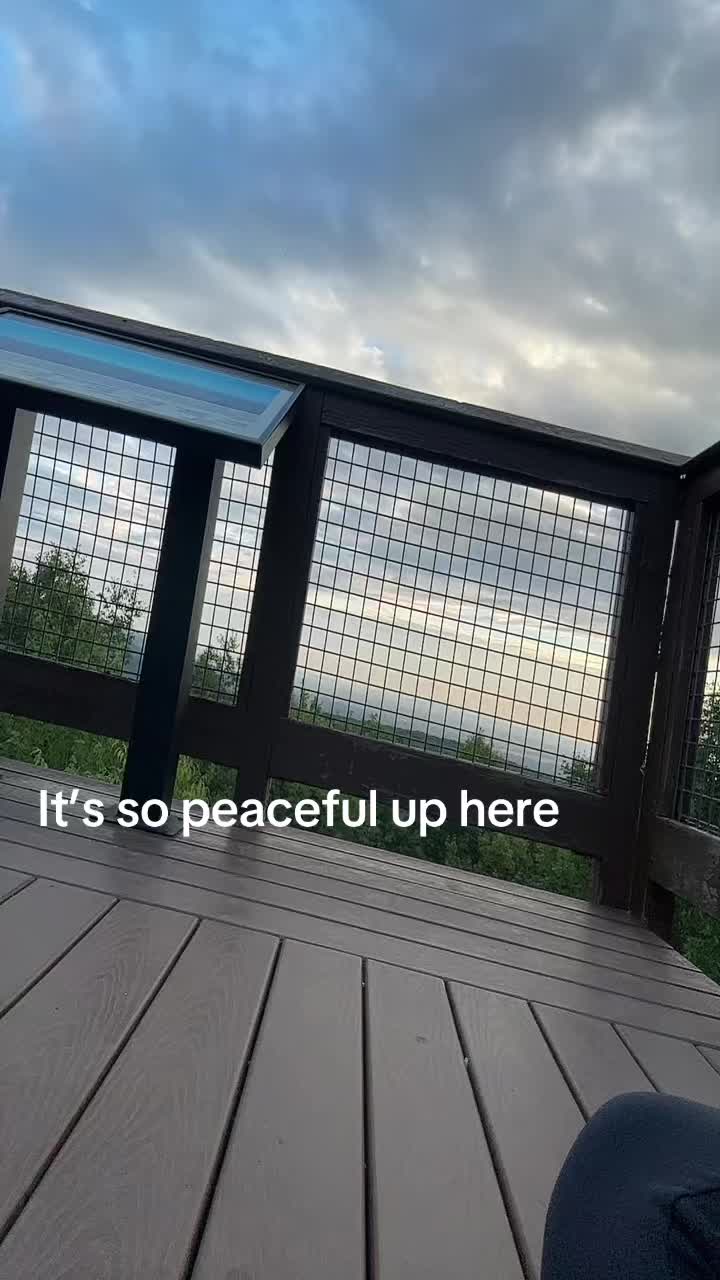 @Tori