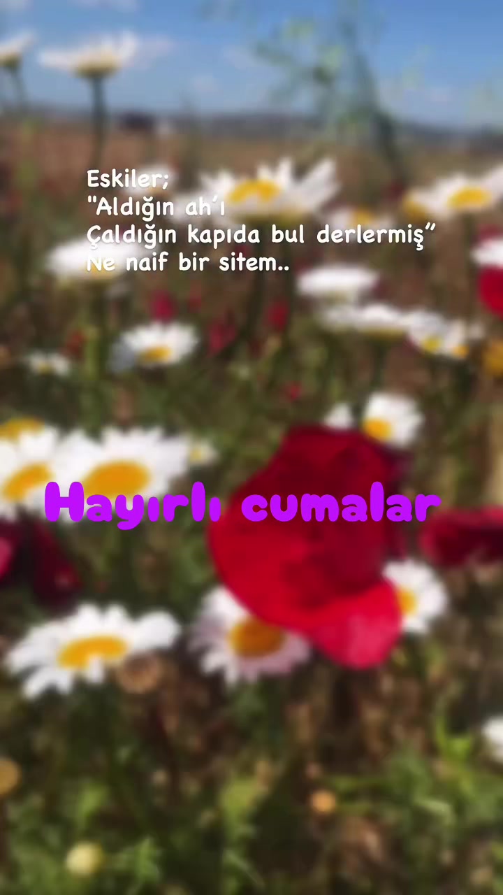 @mavili781