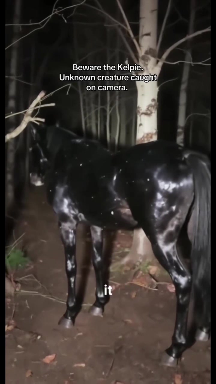 @𝓒𝓱𝓪𝓸𝓽𝓲𝓬 𝓦𝓲𝓽𝓬𝓱 1