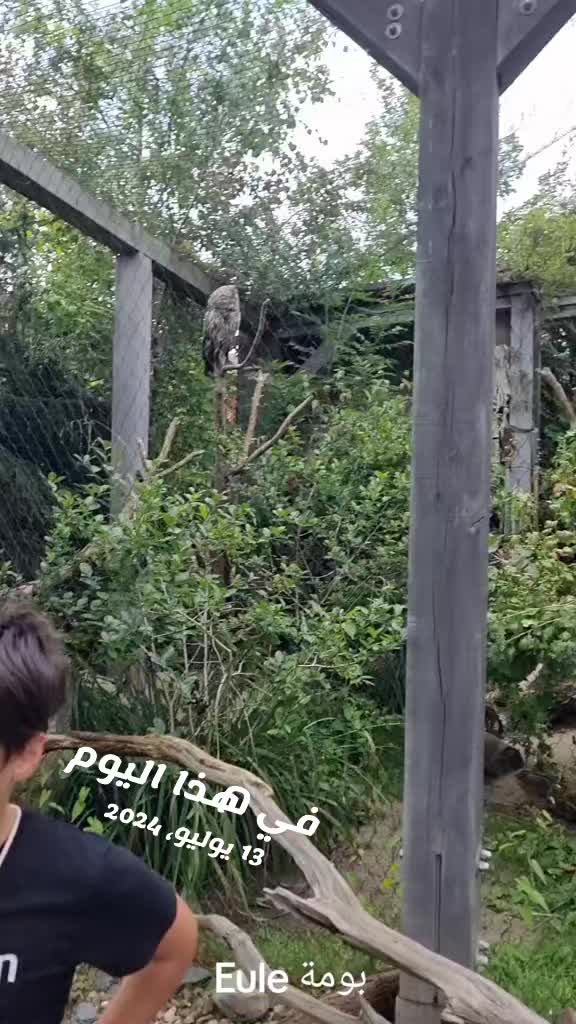 @ام عبوده