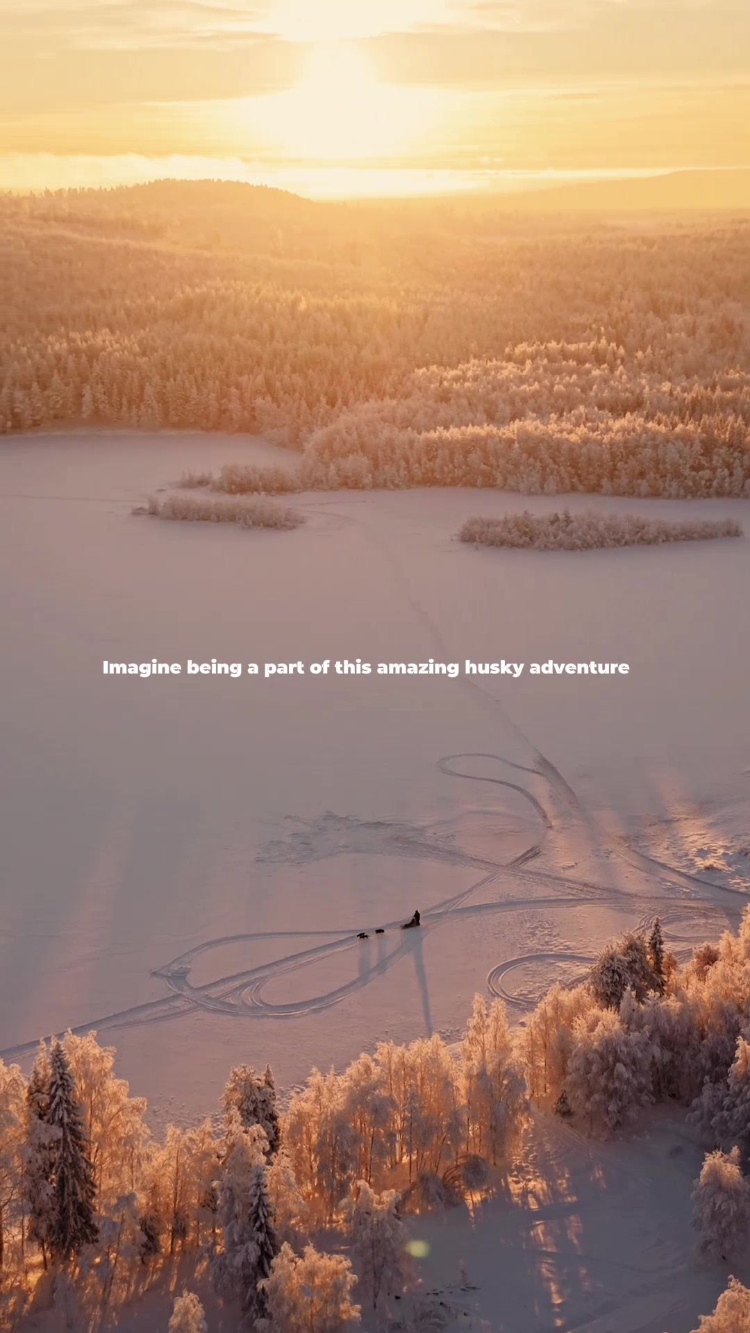@BookLapland