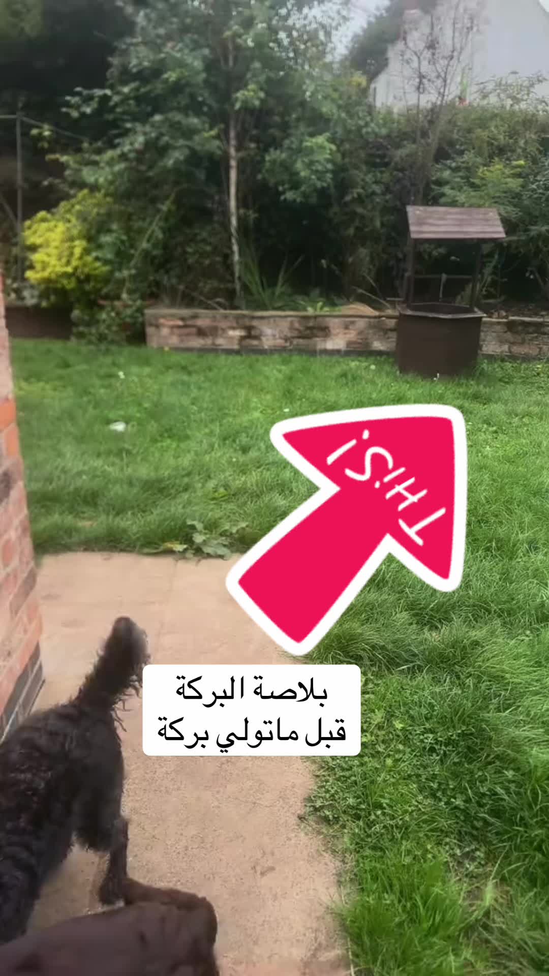 @Hanadi هنادي