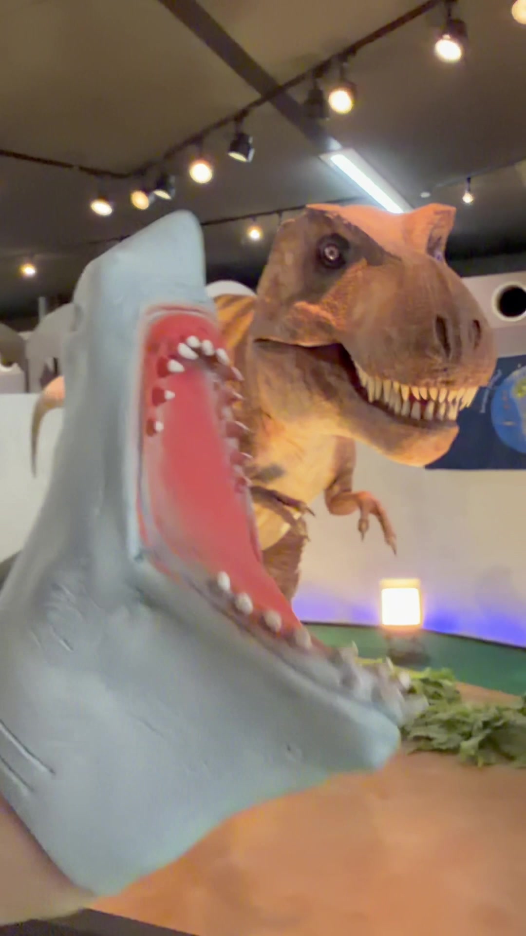 @the.shark.puppet