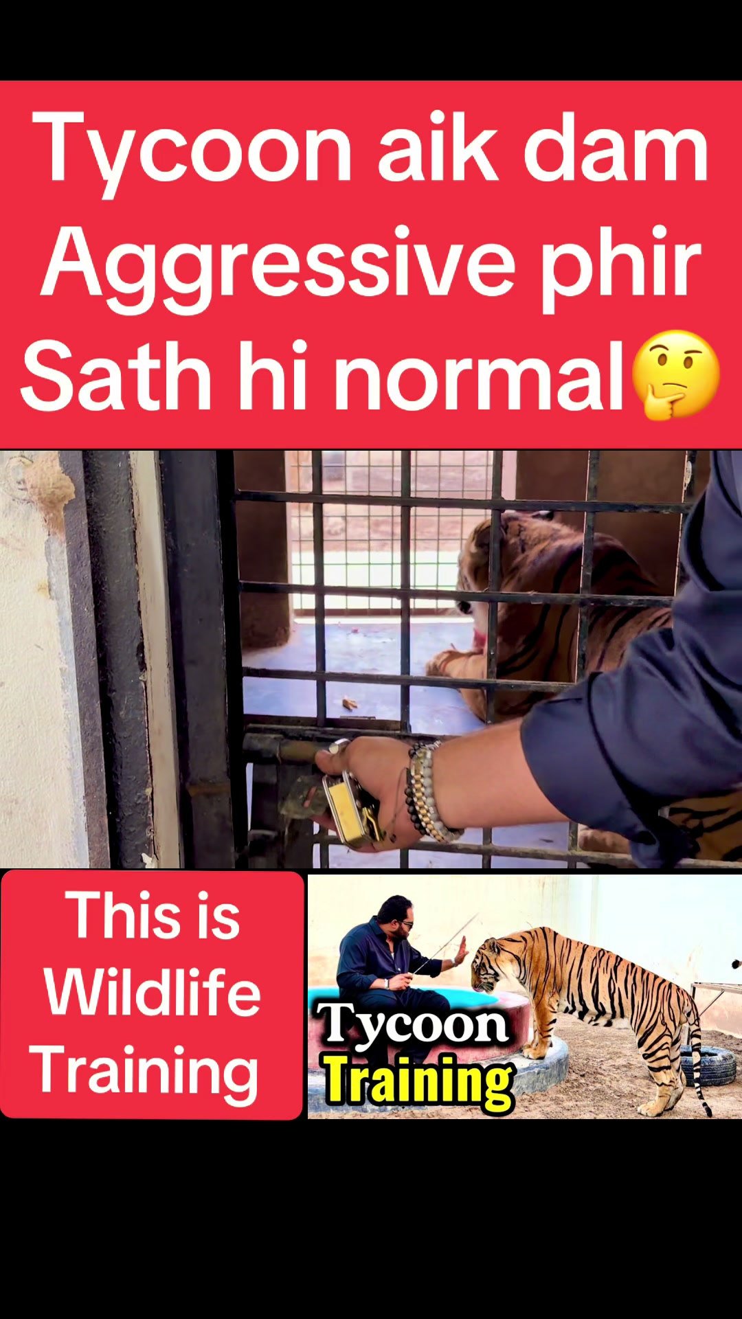 @Mian saqib