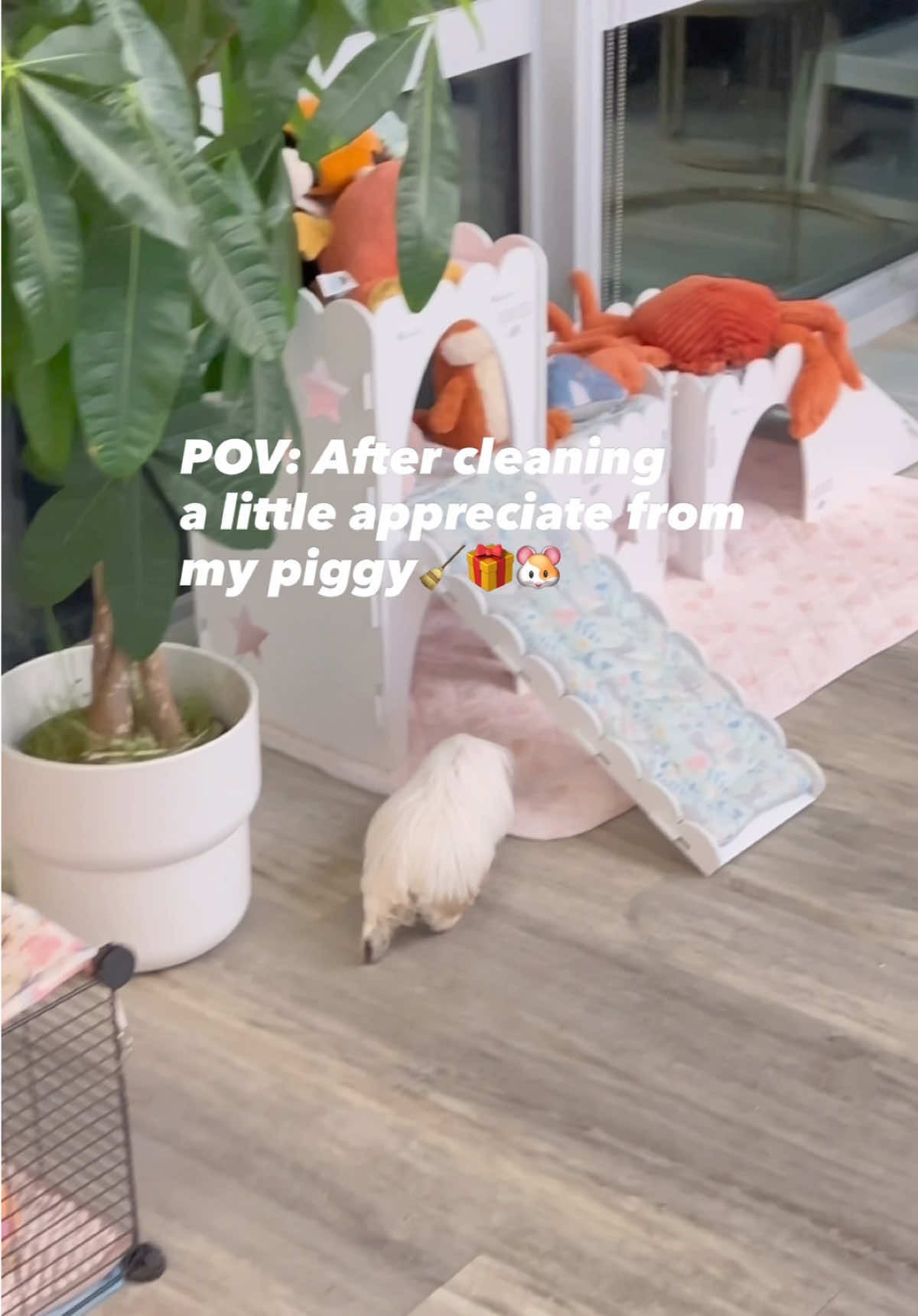 @pumpkin_panda_home