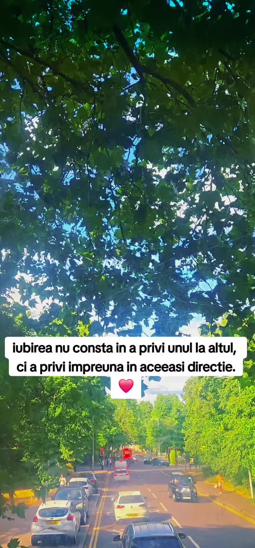 @!sabela Alexandra