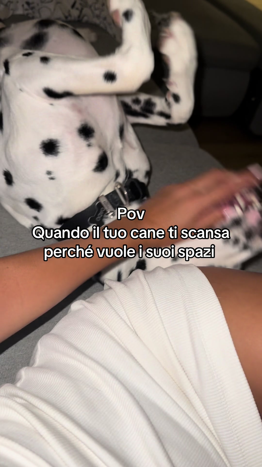 @Cecilia Semola